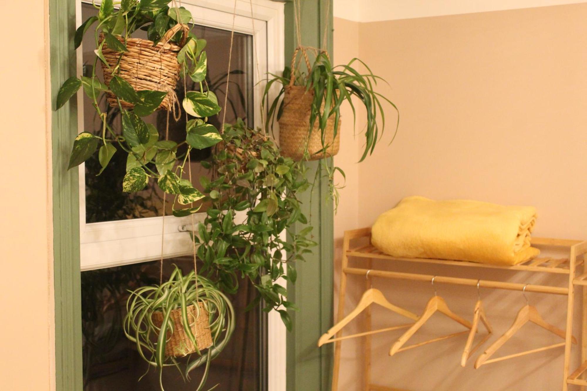 Peacehaven Retreat - 4 Minutes From The Beach! Pet Friendly! ウェーマス エクステリア 写真